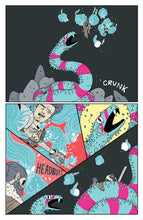 Load image into Gallery viewer, Raiders