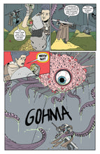 Load image into Gallery viewer, Raiders