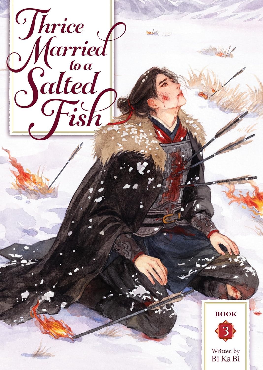 Thrice Married to a Salted Fish Novel Volume 3