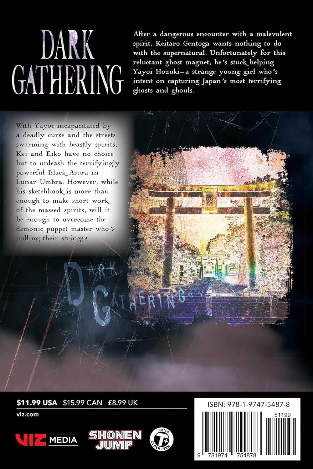 Dark Gathering Volume 13