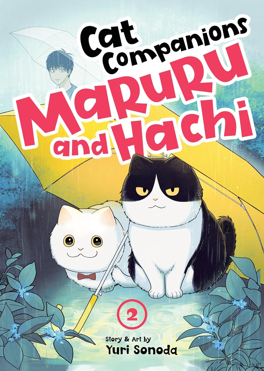 Cat Companions Maruru and Hachi Volume 2