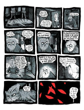 Load image into Gallery viewer, More Weight: A Salem Story