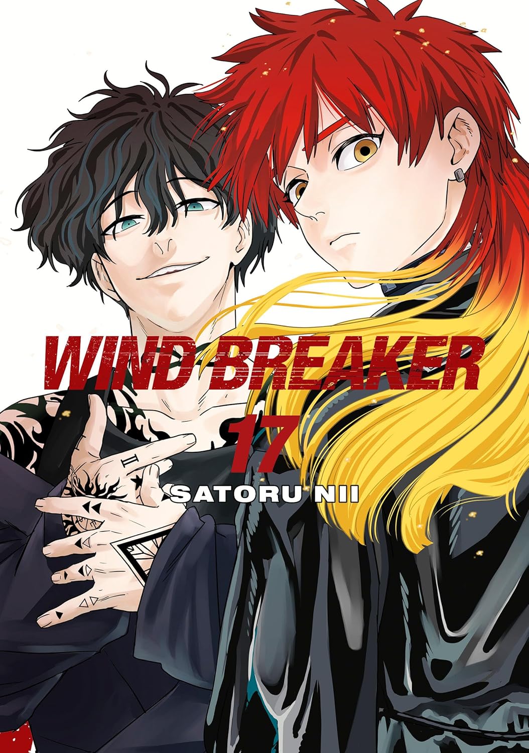 Wind Breaker Volume 17