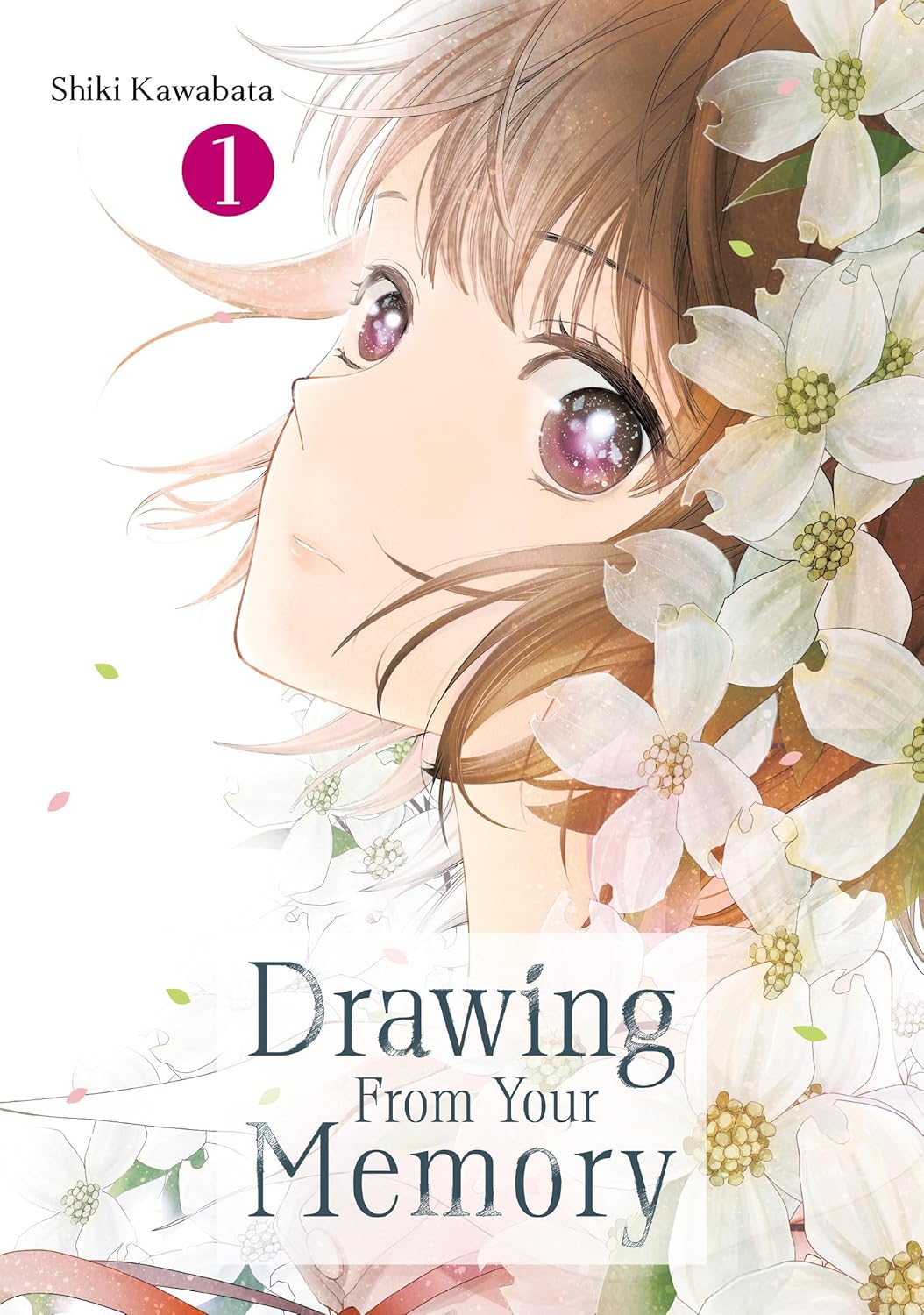 Drawing From Your Memory Volume 1