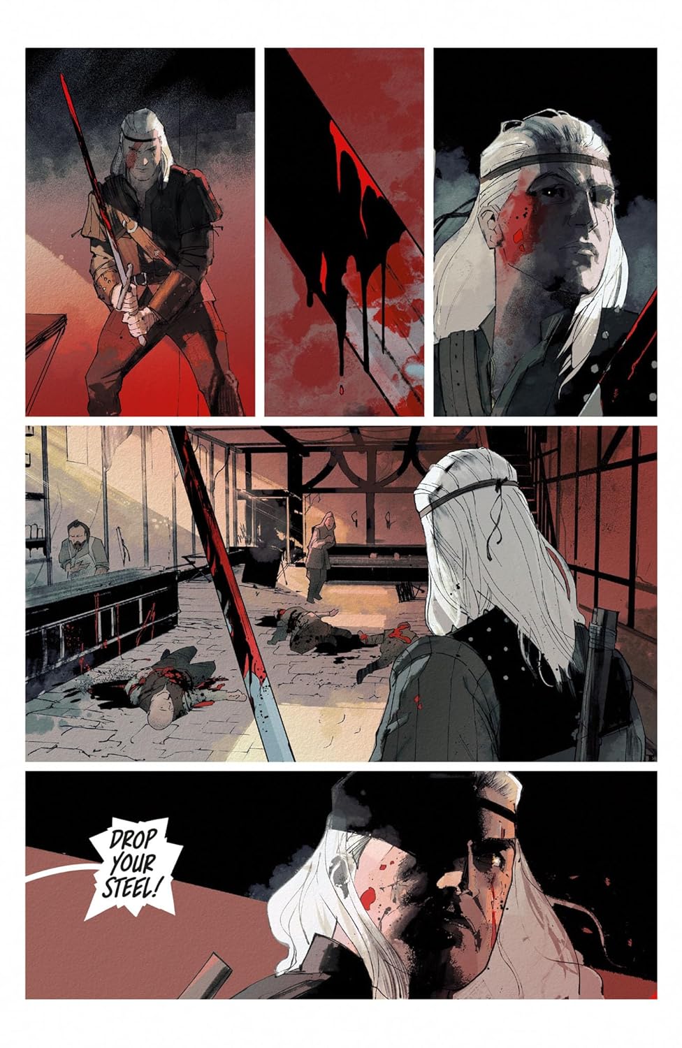 Andrzej Sapkowski's The Witcher: The Witcher Hardcover