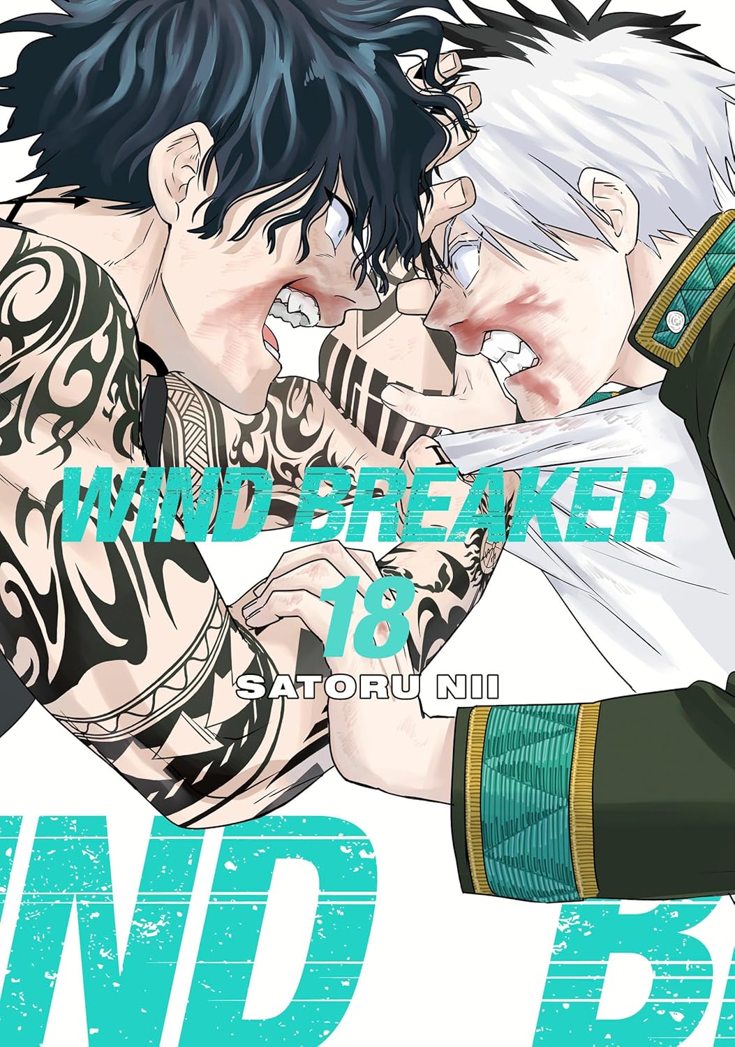Wind Breaker Volume 18