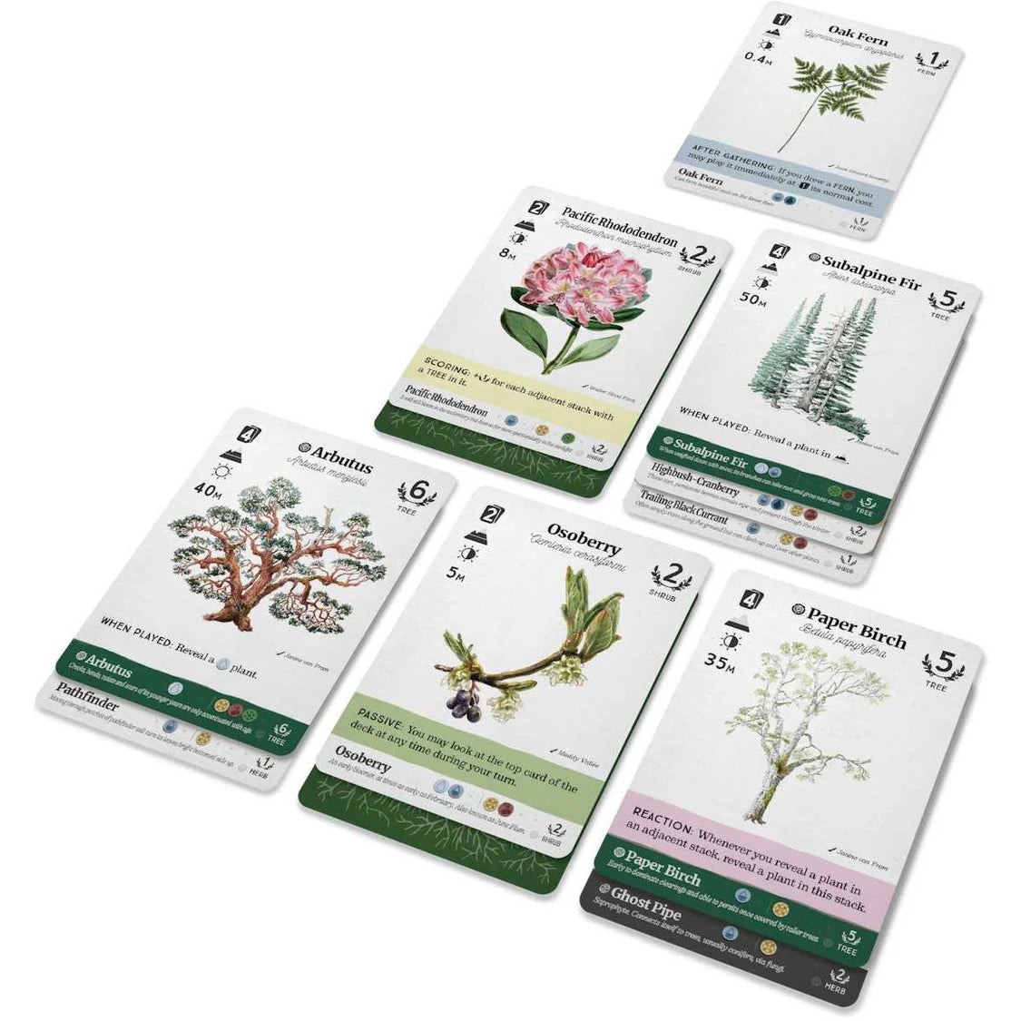 Reforest: Old Growth