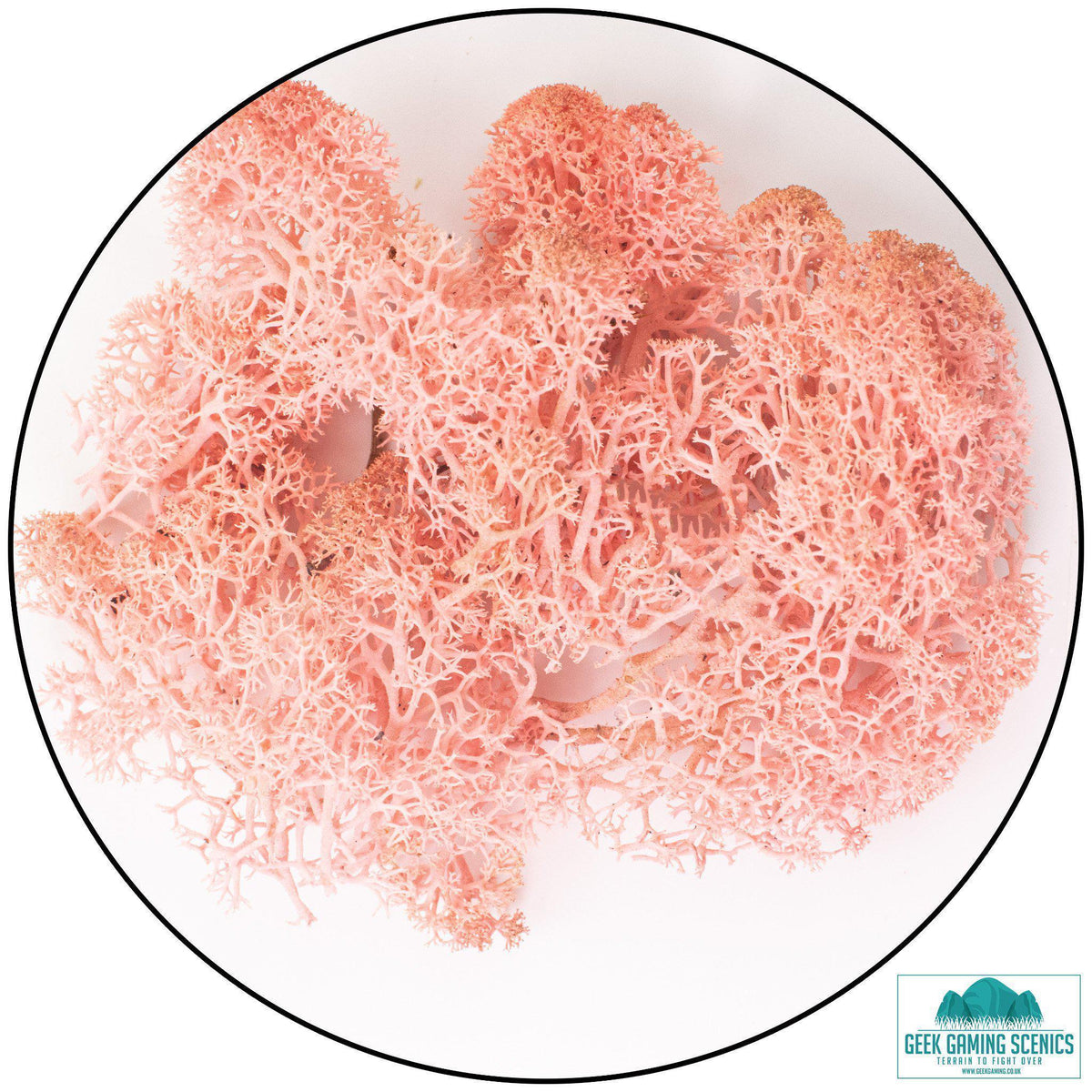 Lichen Reindeer Moss Rose