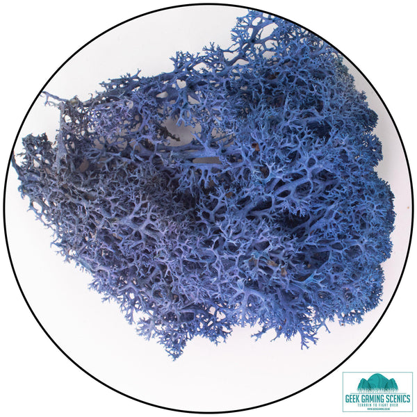 Lichen Reindeer Moss Royal Blue