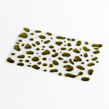 Load image into Gallery viewer, Siege Scenics Golden Aurora