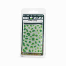 Load image into Gallery viewer, Siege Scenics Borealis Virdis