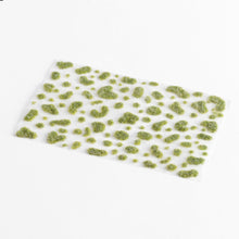 Load image into Gallery viewer, Siege Scenics Succulent Botany