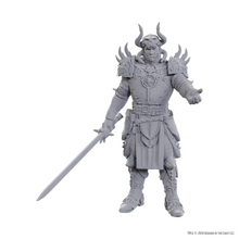Load image into Gallery viewer, D&D Nolzur's Marvelous Miniatures Special Edition Baldur's Gate 3 - Sarevok Anchev & Raphael