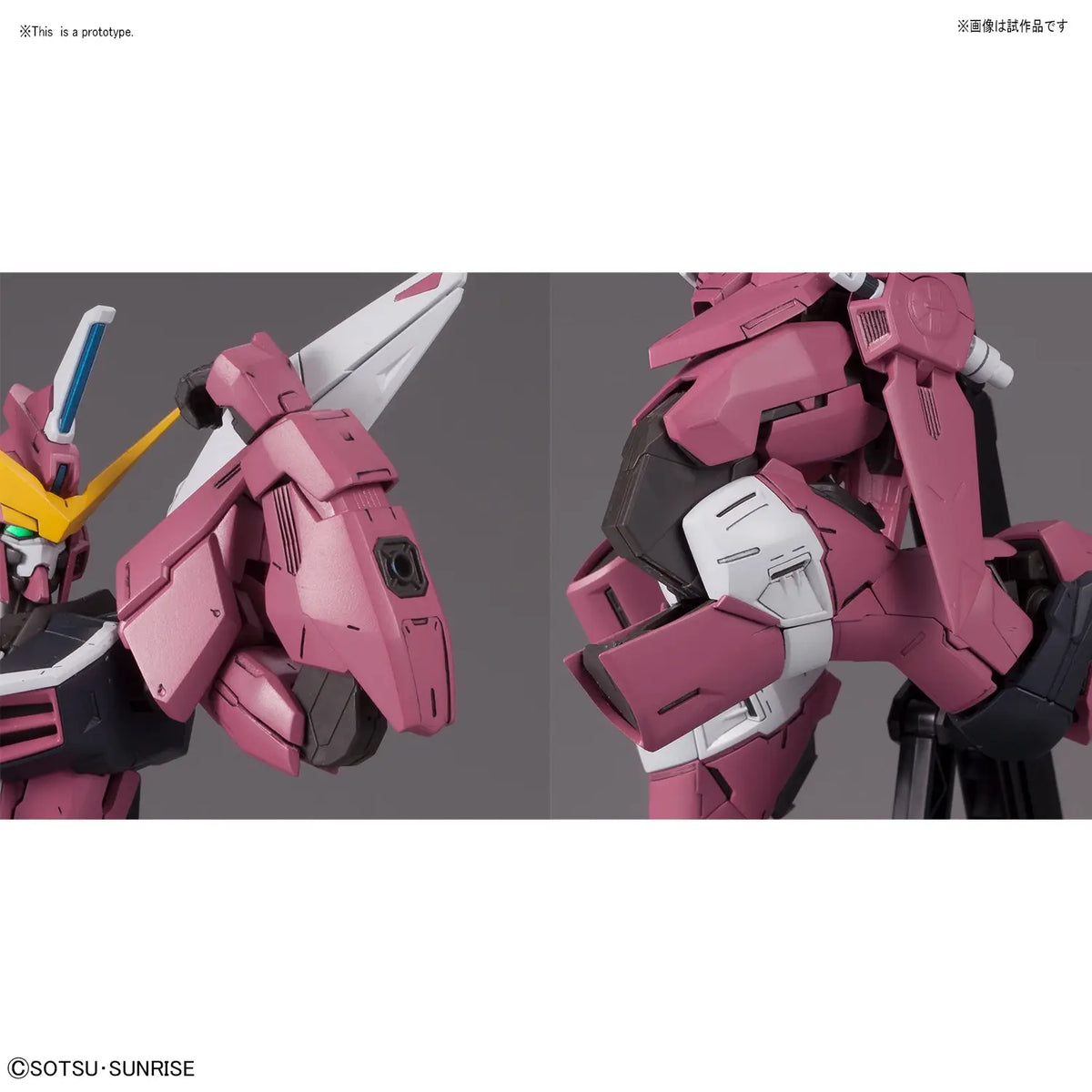 MG Justice Gundam 1/100 Model Kit