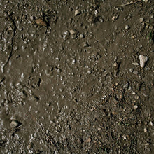 Load image into Gallery viewer, AK Interactive Terrains Wet Ground 250ml