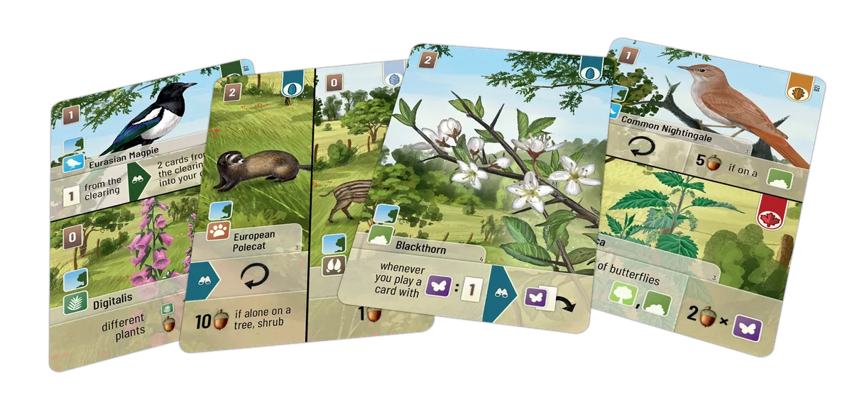 Forest Shuffle: Woodland Edge
