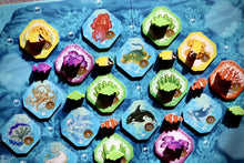 Load image into Gallery viewer, Shallow Sea