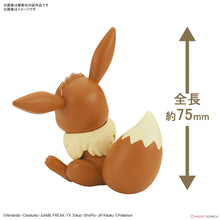 Load image into Gallery viewer, Pokemon Plastic Model Collection Quick 04 Eevee