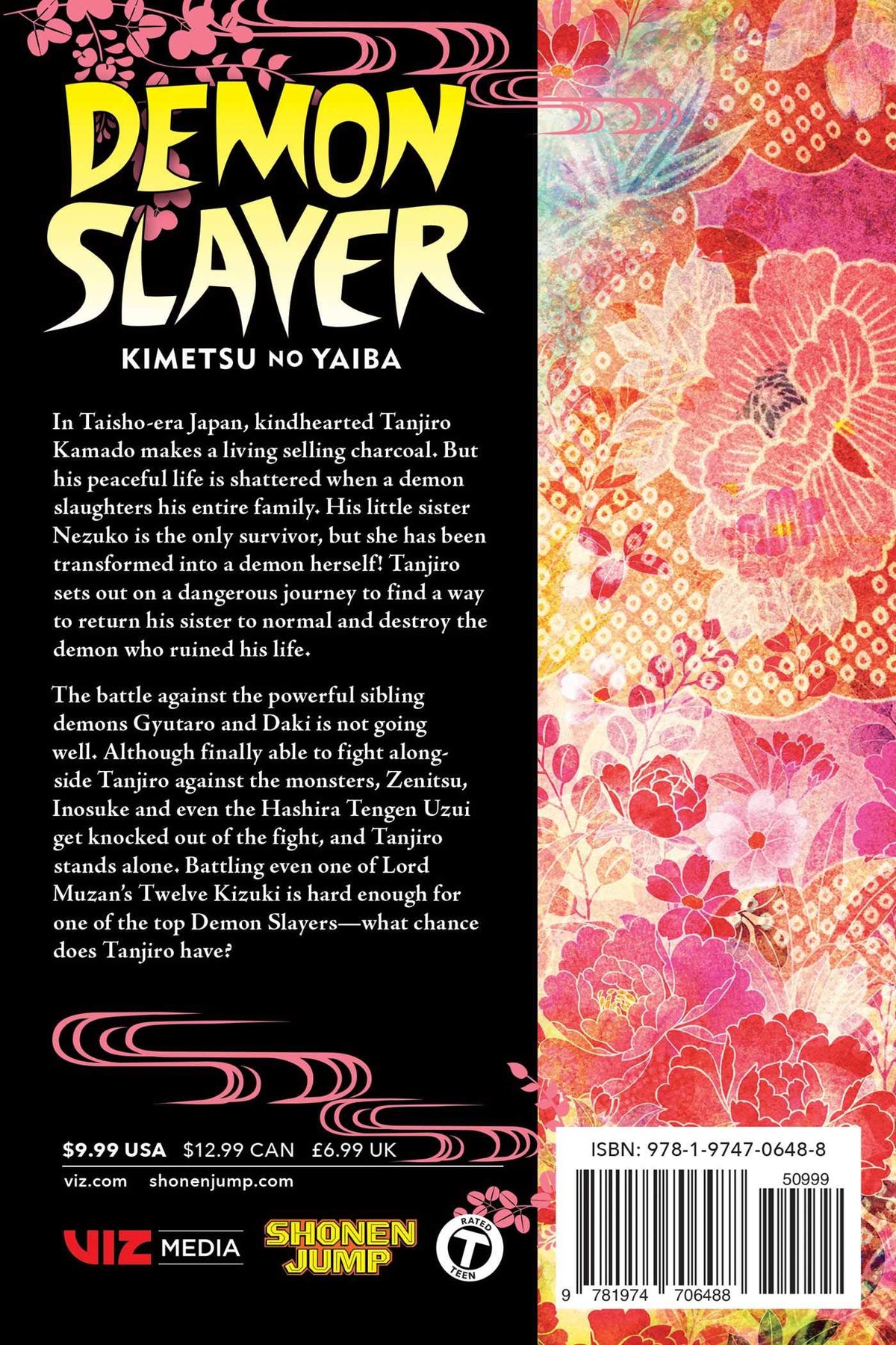 Demon Slayer Kimetsu No Yaiba Volume 11