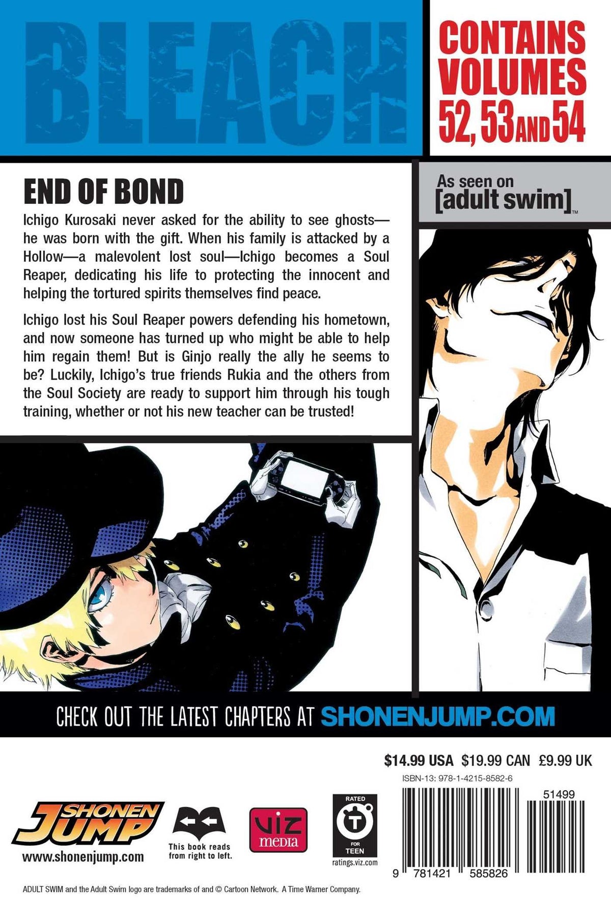 Bleach 3-In-1 Volume 18 (52,53,54)