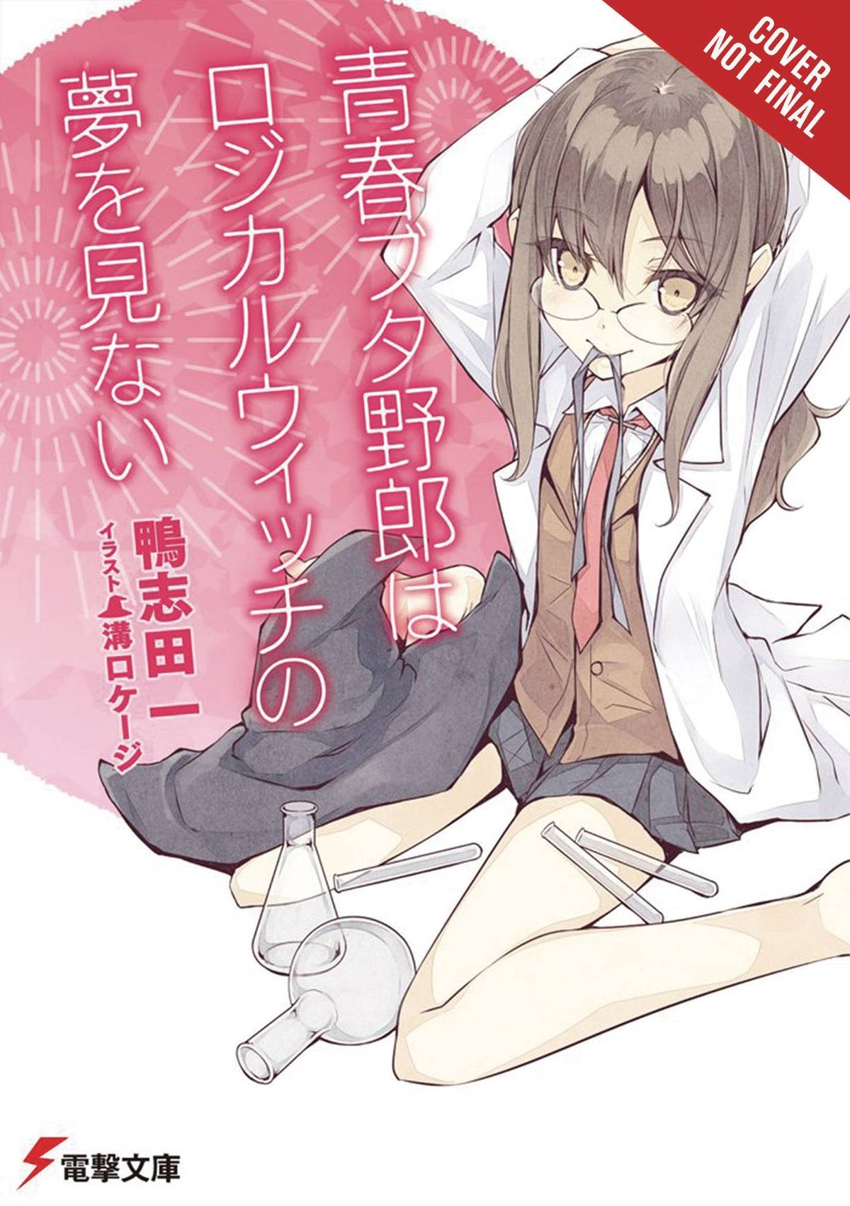 Rascal Does Not Dream of Volume 3 a Logical Witch Light Novel