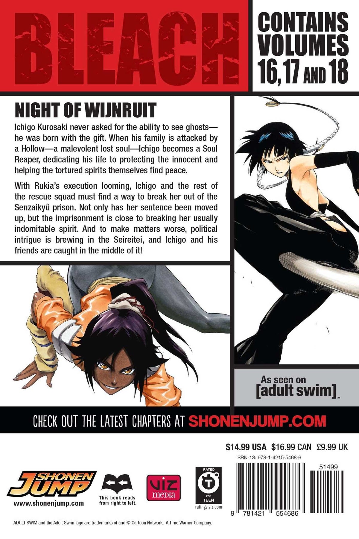 Bleach 3-In-1 Volume 6 (16,17,18)