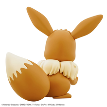 Load image into Gallery viewer, Pokemom Plastic Model Collection Big 02 Eevee