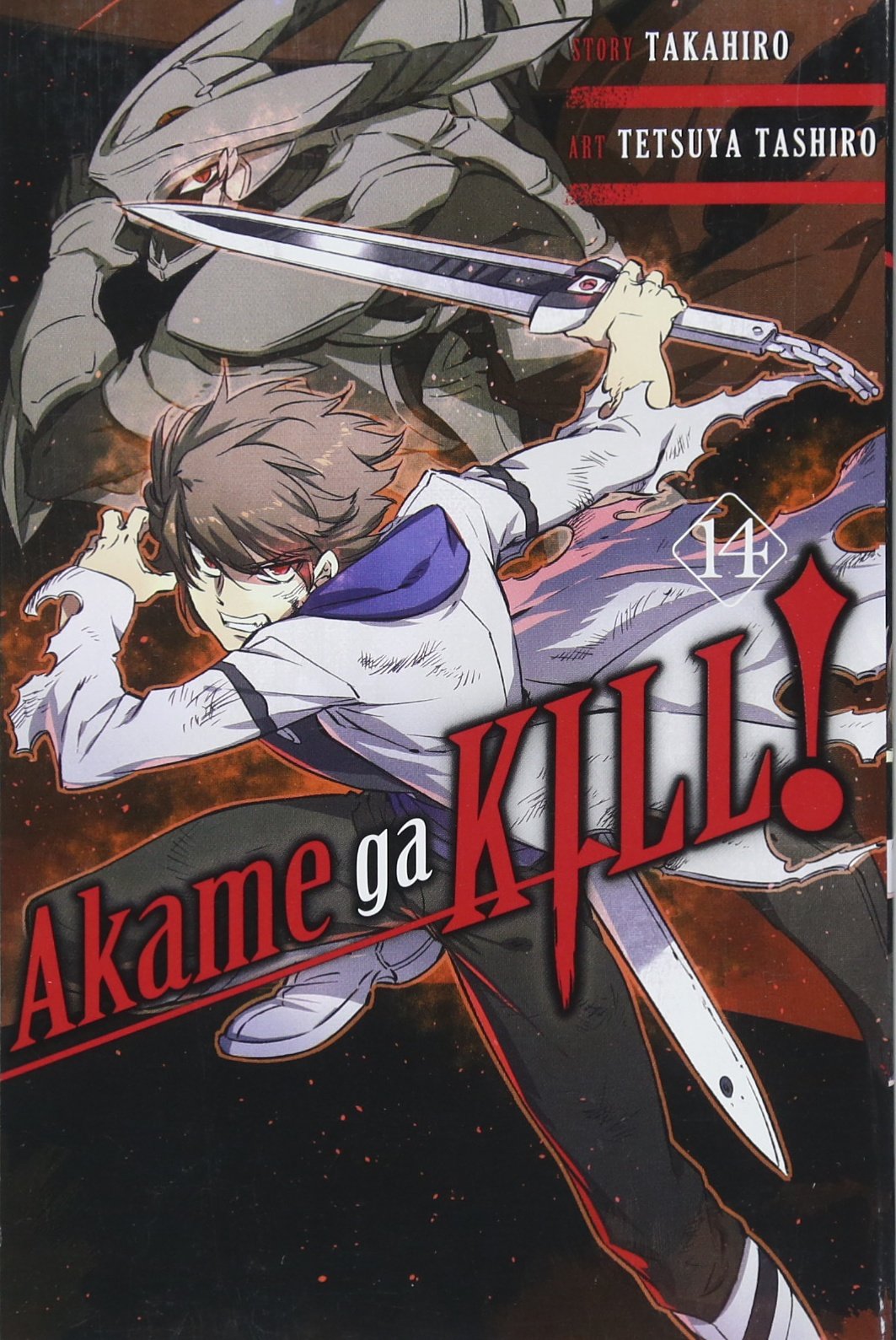 Akame Ga Kill Volume 14