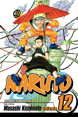 Naruto Volume 12