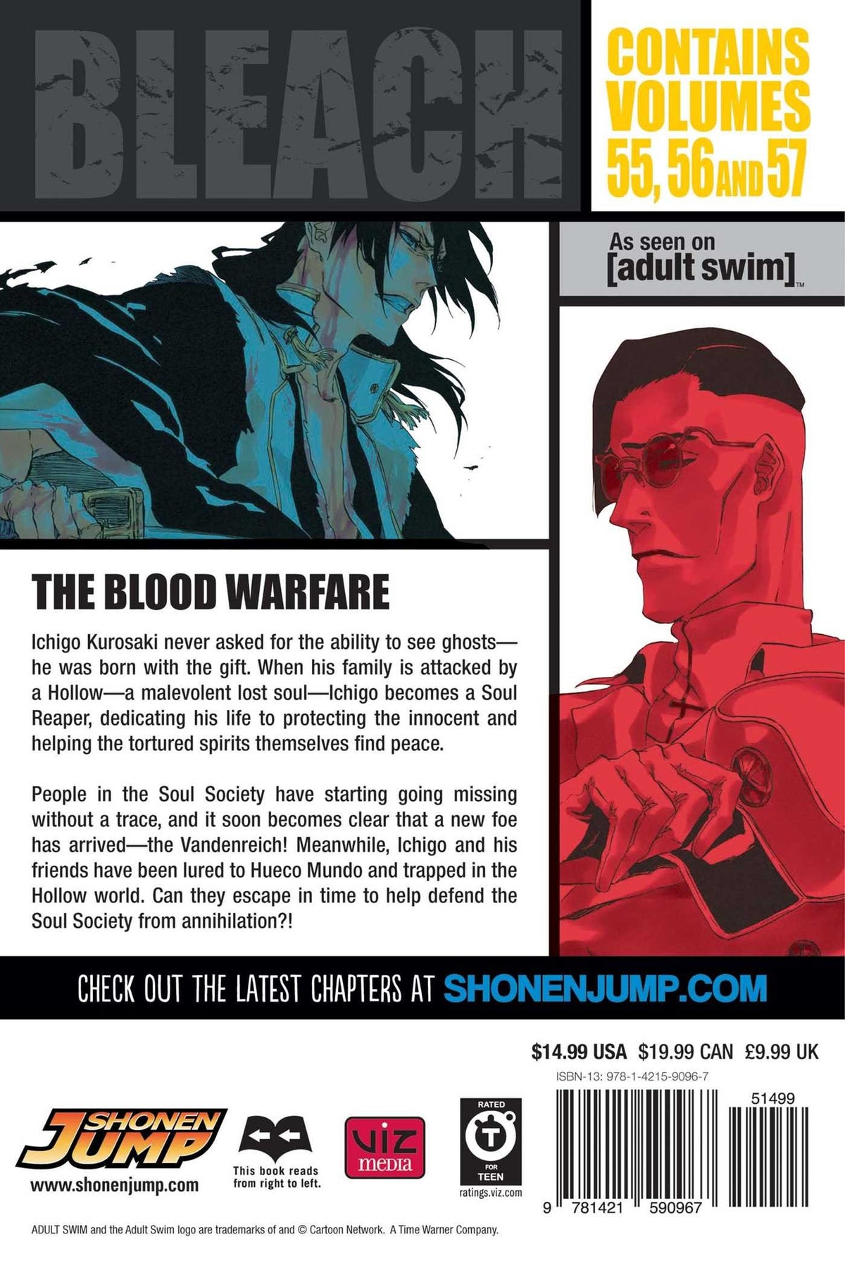 Bleach 3-In-1 Volume 19 (55,56,57)