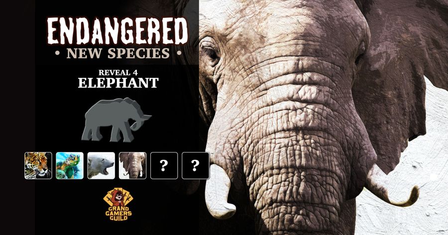 Endangered: New Species