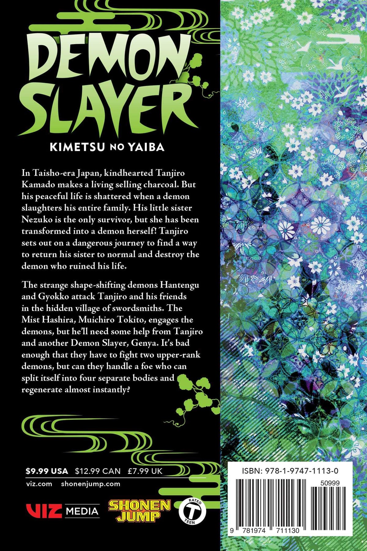 Demon Slayer Kimetsu No Yaiba Volume 13