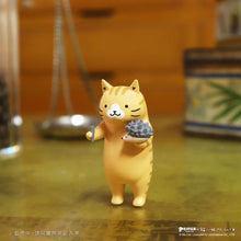 Load image into Gallery viewer, Cat Kung Fu Clinic Series Blind Box