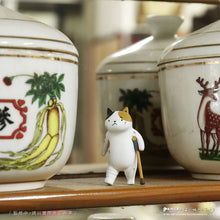 Load image into Gallery viewer, Cat Kung Fu Clinic Series Blind Box