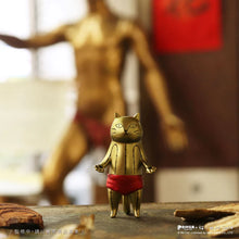 Load image into Gallery viewer, Cat Kung Fu Clinic Series Blind Box