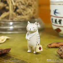 Load image into Gallery viewer, Cat Kung Fu Clinic Series Blind Box