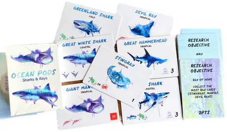 Ocean Pods Sharks & Rays Expansion Pack