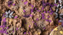 Last inn bildet i Gallery Viewer, Gamers Grass Tiny Tufts Alien Purple 2mm