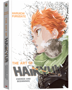 The Art of Haikyu!!