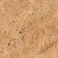 Load image into Gallery viewer, AK Interactive Terrains Sandy Desert 250ml