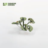 Gamers Grass Laser Plants - Bugloss