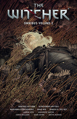 The Witcher Omnibus Volume Two