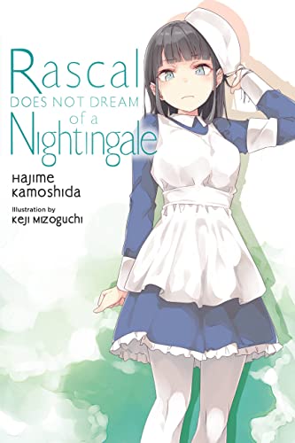 Rascal Does Not Dream of Volume 11 a Nightingale Light Novel