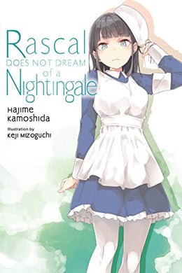 Rascal Does Not Dream of a Nightingale Light Novel