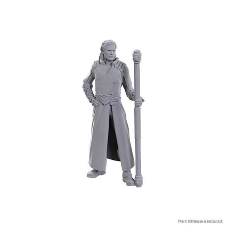 D&D Nolzur's Marvelous Miniatures Special Edition Baldur's Gate 3 - Gale & Astarion