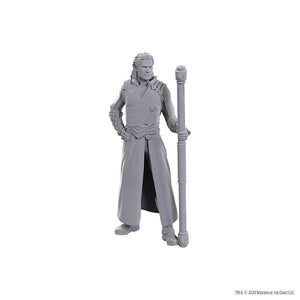 D&D Nolzur's Marvelous Miniatures Special Edition Baldur's Gate 3 - Gale & Astarion