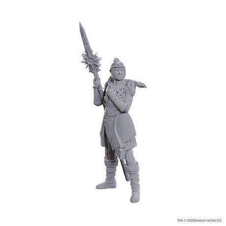 D&D Nolzur's Marvelous Miniatures Special Edition Baldur's Gate 3 - Lae'zel & Shadowheart