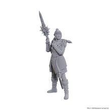 Load image into Gallery viewer, D&amp;D Nolzur&#39;s Marvelous Miniatures Special Edition Baldur&#39;s Gate 3 - Lae&#39;zel &amp; Shadowheart