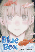 Load image into Gallery viewer, Blue Box Volume 17