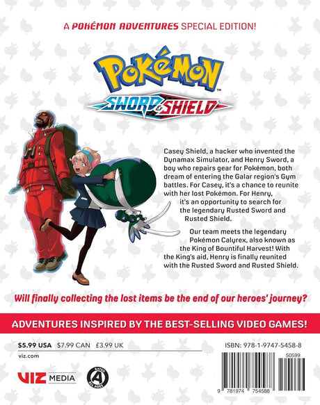 Pokémon Sword & Shield Volume 13